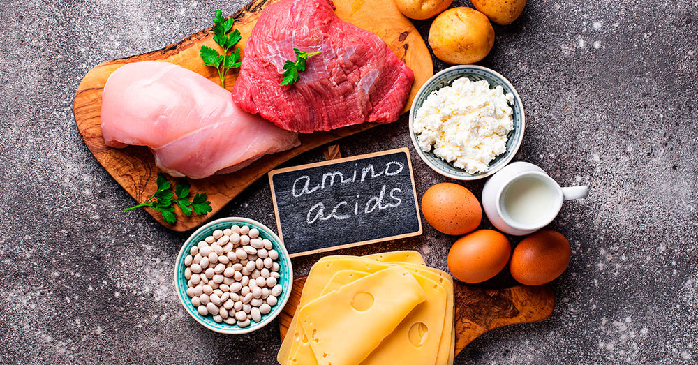 ¿Cómo funcionan los BCAA’s en el cuerpo?