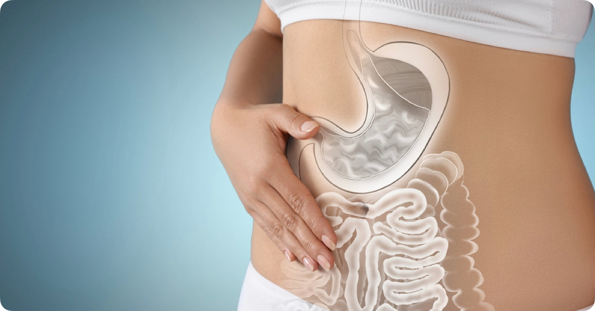 Gut health: qué es y por qué importa. Tu rutina también empieza en tu interior