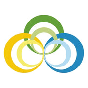 EVOLUTION REAL logo